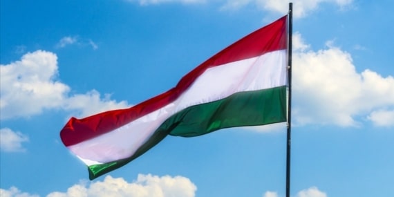 thumbs_b_c_642275c34299f82b136a6d511274e59f