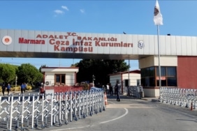 thumbs_b_c_918a5ebdbee1c8352266d2863083353e