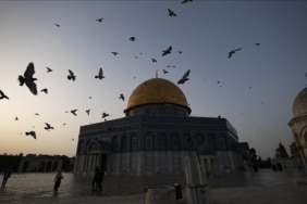 thumbs_b_c_be8a0255d8b15fce29a5d2e33fee0d68