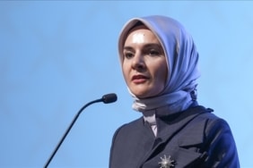 thumbs_b_c_c11a2d33d0f432e27f6e18bb453b68cb