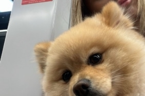 GAZİOSMANPAŞA'DA "PETSHOPTA YIKANAN KÖPEĞİN İHMALDEN ÖLDÜĞÜ" İDDİASI GENÇ KADIN, YIKAMA VE KURUTMA İŞLEMİ SIRASINDAKİ İHMALDEN DOLAYI KÖPEĞİNİN ÖLDÜĞÜNÜ İDDİA EDEREK İŞLETMEDEN ŞİKAYETÇİ OLDU
