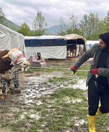 Derenin debisi arttı; iş yerleri ve kurbanlık pazarı tahliye