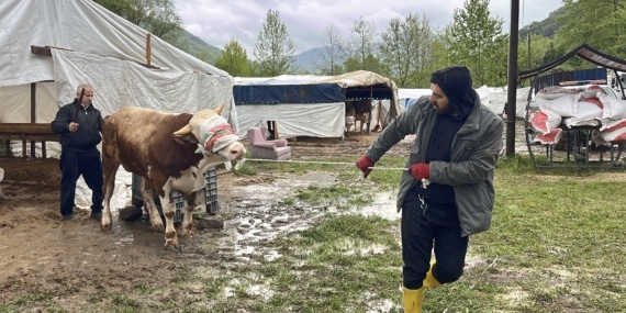 Derenin debisi arttı; iş yerleri ve kurbanlık pazarı tahliye