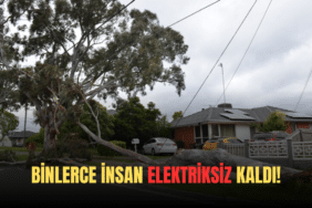 ELEKTRİK