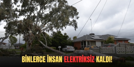 ELEKTRİK